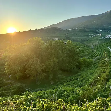 Farmház Casa Callonga *