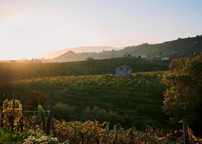 Agroturismo Casa Callonga