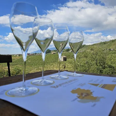 Farma Casa Callonga *